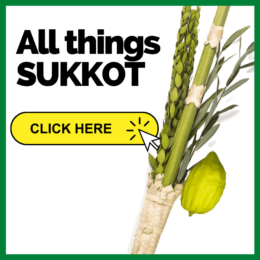 All things Sukkot
