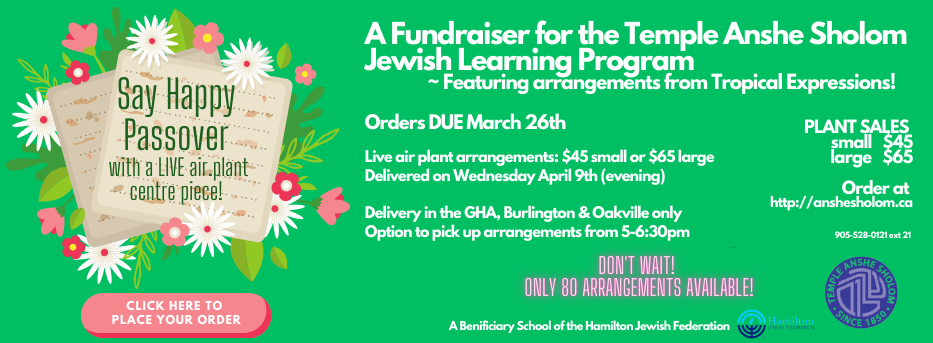 Copy of Passover Flowers 2025 insta jpeg (Facebook Cover) (2)